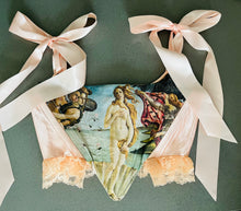 Cargar imagen en el visor de la galería, Peachy Venus Corset

