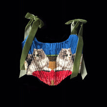 Load image into Gallery viewer, Upcycled Mirrored Kitty Corset
